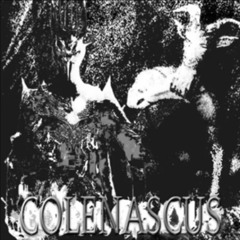 COLENASCUS - THE PILGRIM (HEAL)