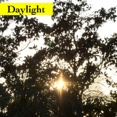 Daylight