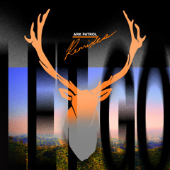 Let Go (Phantoms Remix) [feat. Veronika Redd]