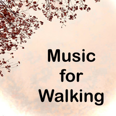 Music for Walking ( Sdmk / Roy Roy )