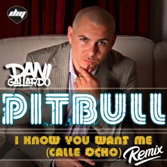 Pitbull - I Know You Want Me (Calle Ocho) (Dani Gallardo Dembow Remix 2021