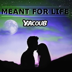 Meant For Life (Original Mix)
