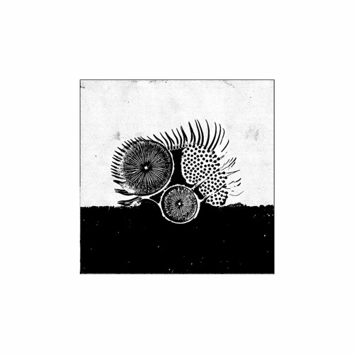 PREMIERE: Mule Driver - The Loneliness of the Long Distance Runner [Confused Machines]