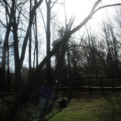 wake up bliss (prod inspire)