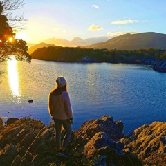 New & hot: Ambient