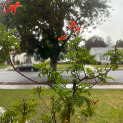 peace✌︎︎♡⃛