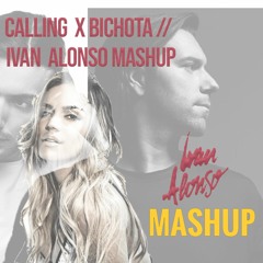 BICHOTA X CALLING  IVAN ALONSO FILTERED MASHUP / Karol G, Sebastian Ingrosso, Alesso
