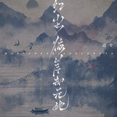 红尘彼岸却无她 (DJEva版)