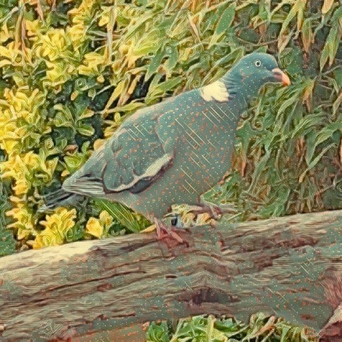 The Pigeon Dance Remix