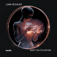 Liam Veshler - Want You To Love Me (Extended - Fenice Records) (1)