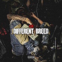 ATM FatKnot - Different Breed