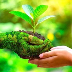 Mestre Virtual Despertar da Confiança | Hipnoterapia Marcelo Magoga