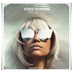 Not Like You (Radio-Edit)