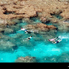 Best Snorkeling In Oahu Hanauma Bay Prices Reviews