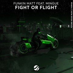 Funkin Matt feat. Mingue - Fight or Flight