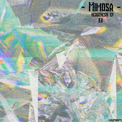 Mimosa