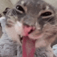 its hrd, teqq