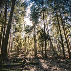 Back to Tribe Oldschool 160 bpm