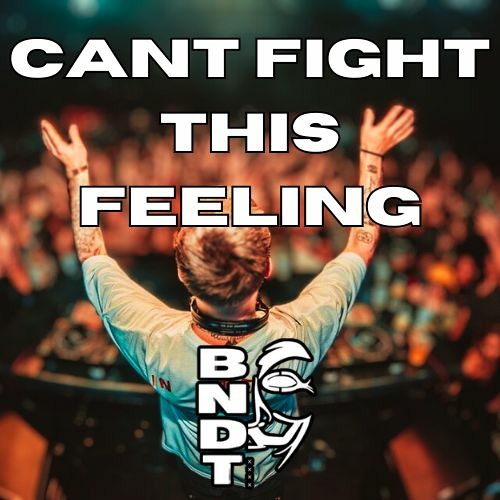 Can't Fight This Feeling ( BANDIT REMIX )