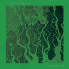 Varuna - Mangrove Management (AWC003)