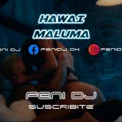 HAWAI - MALUMA ✘ FENI DJ