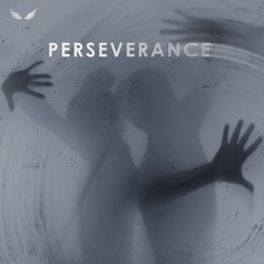 Perseverance (Radio Edit)