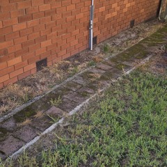 The Soft Floor Boards Out The Back Sub Ventilation Ports Matter - Recorded 12042025