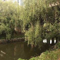 事後(Mogwaa's Monsoon Version)