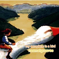 my aeroplane is a bird