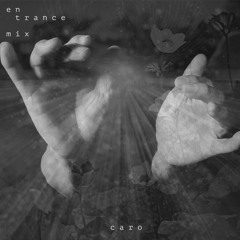 Entrance Mix