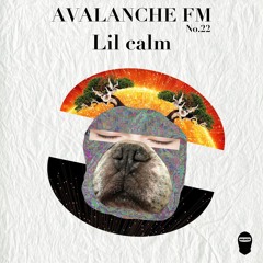 AVALANCHE FM No.22 Lil calm