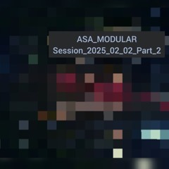 ASA_MODULAR_Session_20250202_Part2.mp3