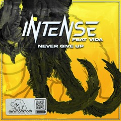 INTENSE - FT VIDA - NEVER GIVE UP