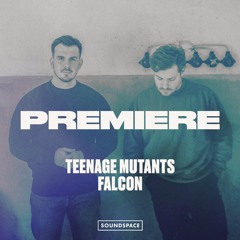 Premiere: Teenage Mutants - Falcon [Misfit Music]