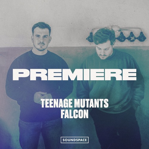 Premiere: Teenage Mutants - Falcon [Misfit Music]