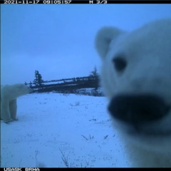 Throne (Prod. GAXILLIC)