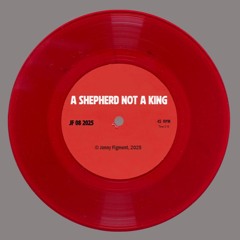A Shepherd, Not A King