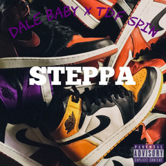 Dale Baby X TdF SpinBin - Steppa