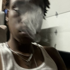 Fraudulent Shii (swervinhondass)