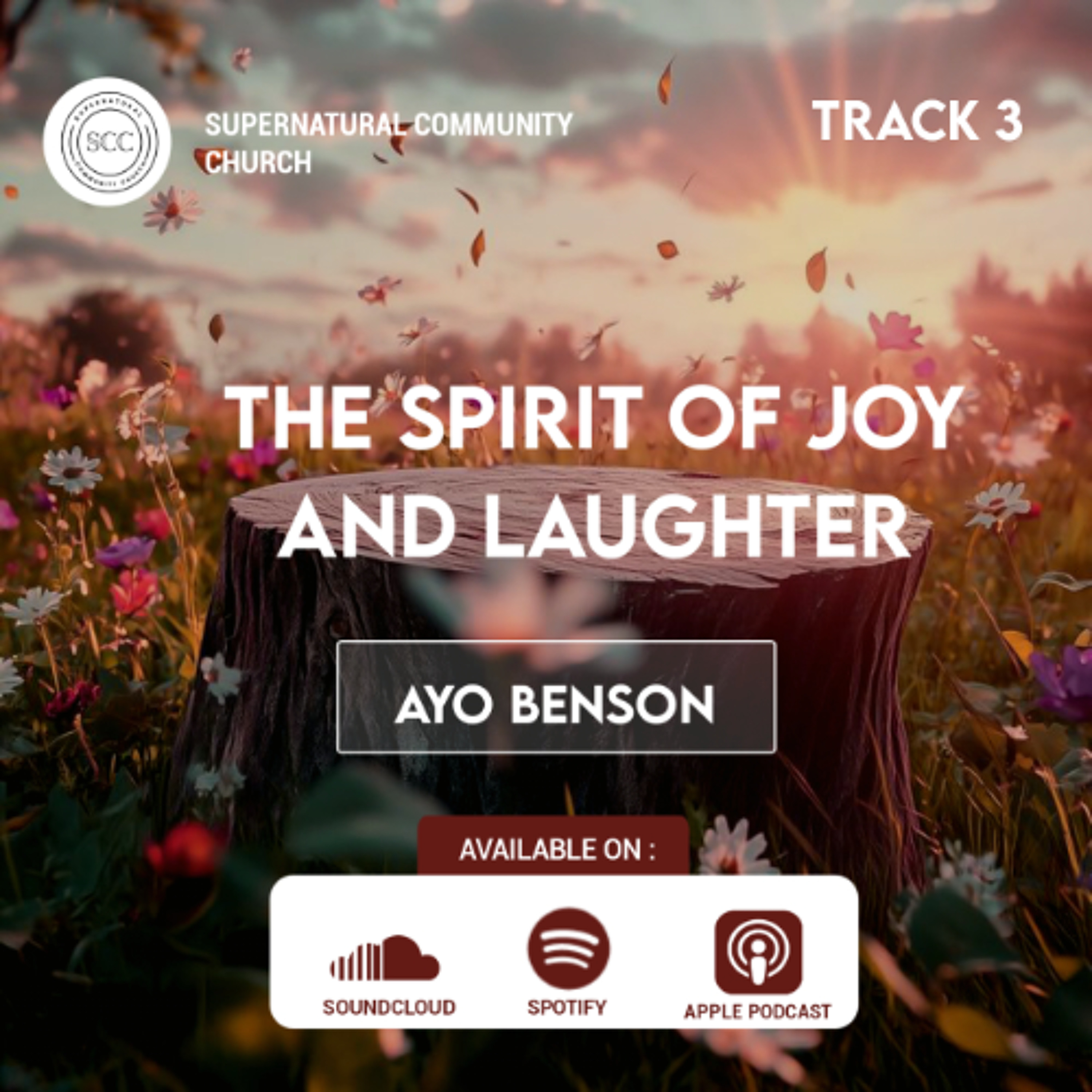 The Spirit of Joy and Laughter (3)
