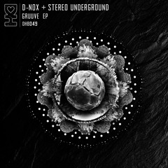 Premiere: D-Nox & Stereo Underground - Gruuve [Desert Hearts Black]