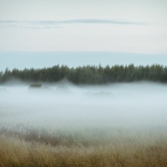 Water (pre-mix 7.28)