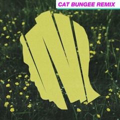 Kidnap, Dwara - Fortifiet (Cat Bungee Remix)