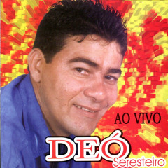 Toque Sanfoneiro