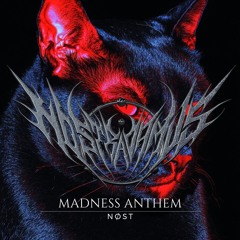 NØST - Madness Anthem (Churchyard Bootleg) FREE DOWNLOAD