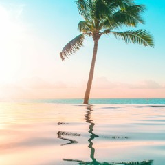 Billy Eilish - Ocean Eyes (turtlebeats remix)