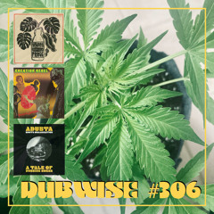 Dubwise #306