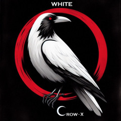 Whit3 Cr0w - X - On HardSoundRadio-HSR