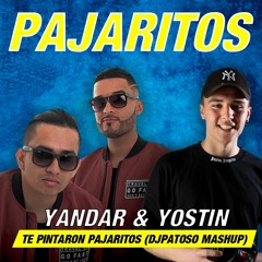 Yandar & Yostin - Te pintaron pajaritos x No pinto pajaritos (DjPatoso Mashup) FREE!!