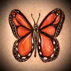 My Butterfly